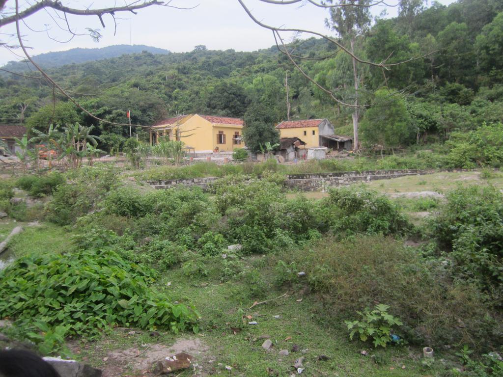 Bai Huong Cu Lao Cham Homestay Tân Hiệ Exterior foto